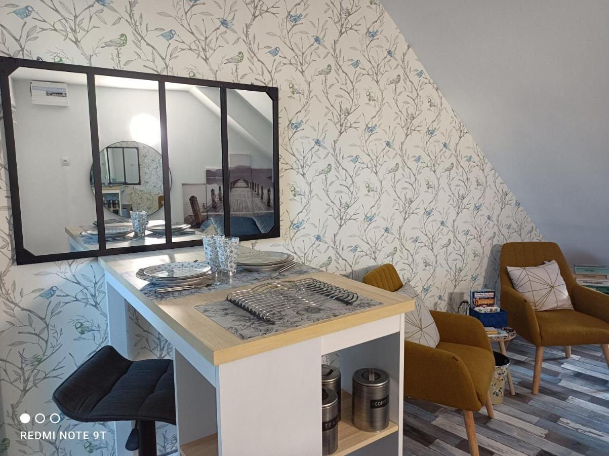 Tres Beau Studio Climatisation, Trois Etoiles, Parking A Velo, Velos En Option, Parking Prive Jardin Montargis Buitenkant foto