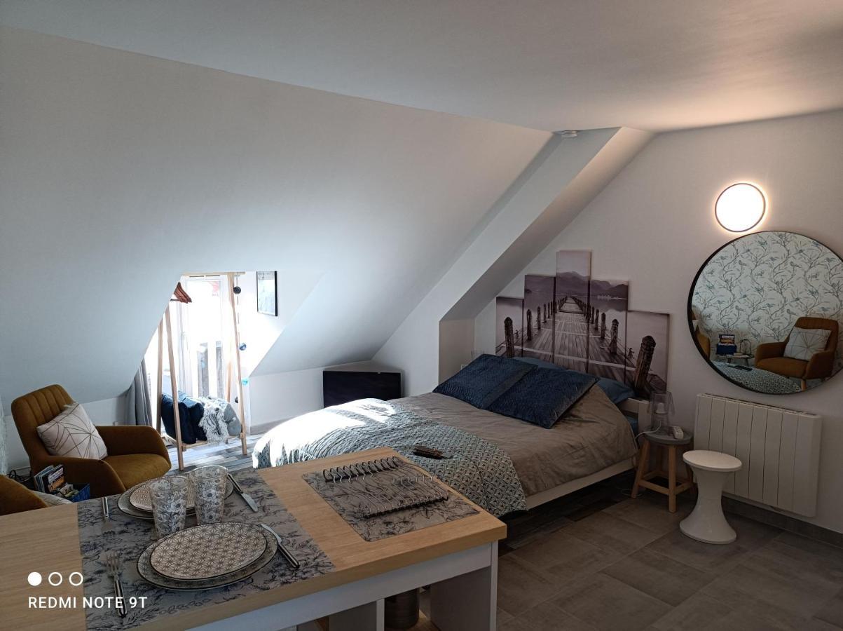 Tres Beau Studio Climatisation, Trois Etoiles, Parking A Velo, Velos En Option, Parking Prive Jardin Montargis Buitenkant foto